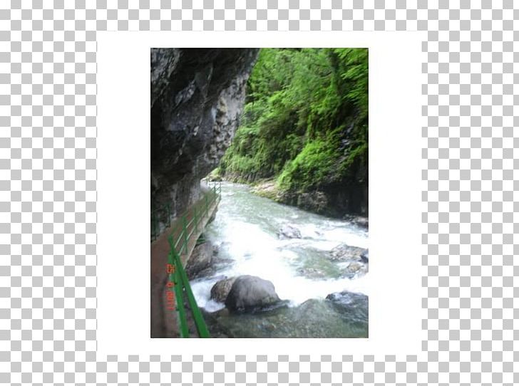 Water Resources Nature Reserve Waterfall Rainforest PNG, Clipart, Forest, Natural Resource, Nature, Nature Reserve, Rainforest Free PNG Download