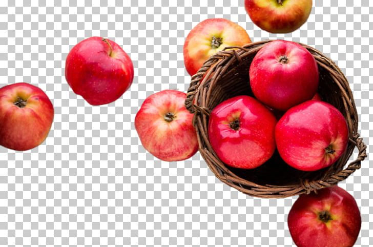 Apple Keyboard Apple Mouse Food PNG, Clipart, Accessory Fruit, Apple, Apple Keyboard, Apple Mouse, Auglis Free PNG Download