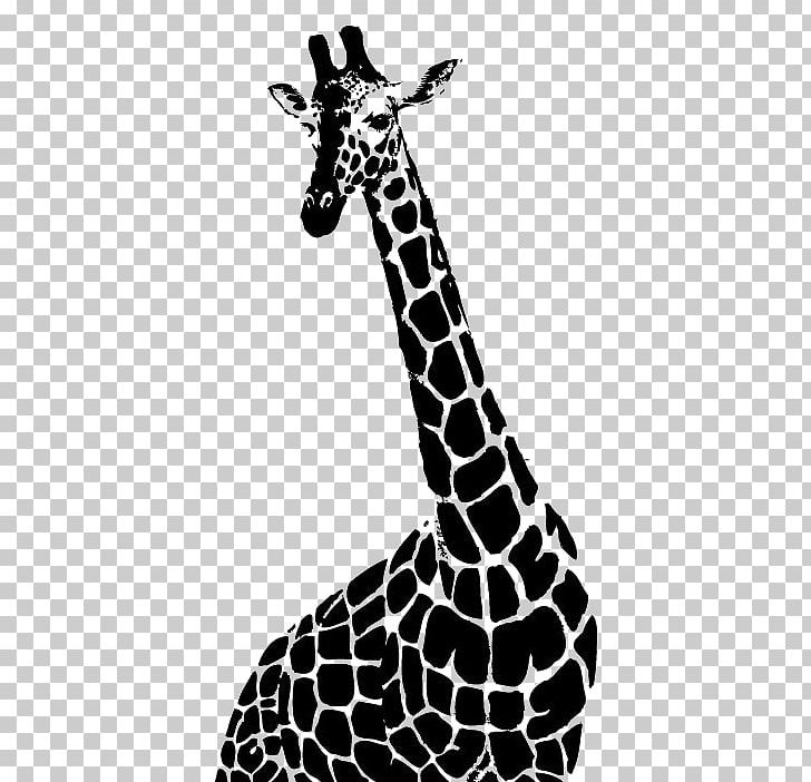 Drawing Northern Giraffe Monochrome Photography Illustration PNG, Clipart, Animal, Animals, Art, Background Black, Black Free PNG Download