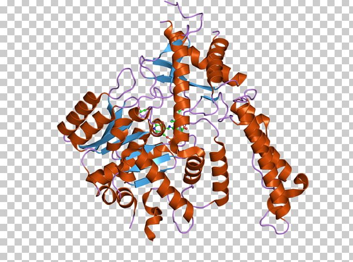 Methionine Glutamate Decarboxylase Aminopeptidase METAP2 GAD2 PNG, Clipart, Aminopeptidase, Crystal, Crystal Structure, Decarboxylation, Diabetes Free PNG Download