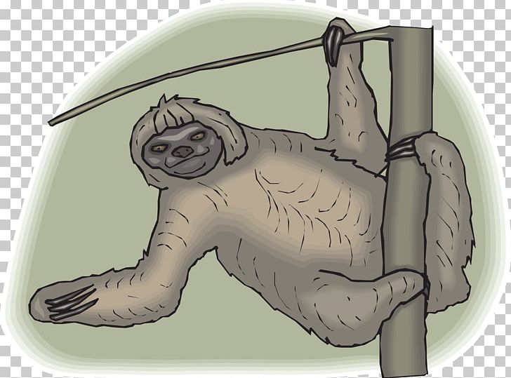 Brown-throated Sloth PNG, Clipart, Animal, Arm, Art, Bear, Big Cats Free PNG Download