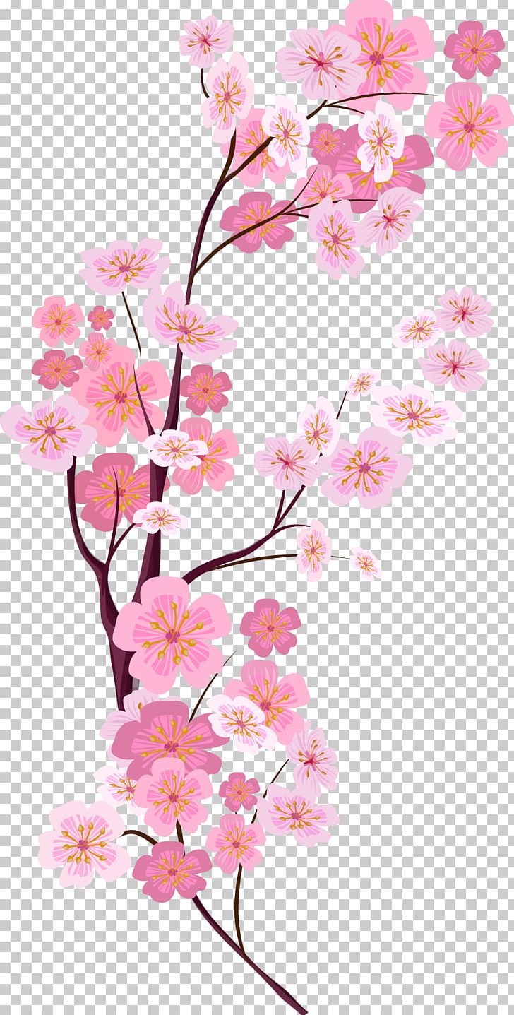 Cherry Blossom Euclidean PNG, Clipart, Blossoms, Branch, Cherry, Dream, Encapsulated Postscript Free PNG Download