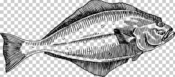 Fish Halibut Line Art PNG, Clipart, Animals, Aquatic, Art, Black And White, Computer Icons Free PNG Download