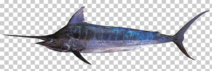 Swordfish Bony Fishes Atlantic Blue Marlin PNG, Clipart, Angling, Animal Figure, Atlantic Blue Marlin, Barracuda, Billfish Free PNG Download