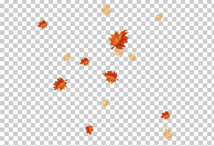 Autumn Leaves Maple Leaf Petal PNG, Clipart, Autumn, Autumn Leaves, Decorative, Decorative Elements, Download Free PNG Download