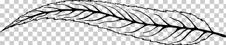 Angle Mammal Leaf PNG, Clipart, Angle, Black And White, Computer Icons, Data, Drawing Free PNG Download