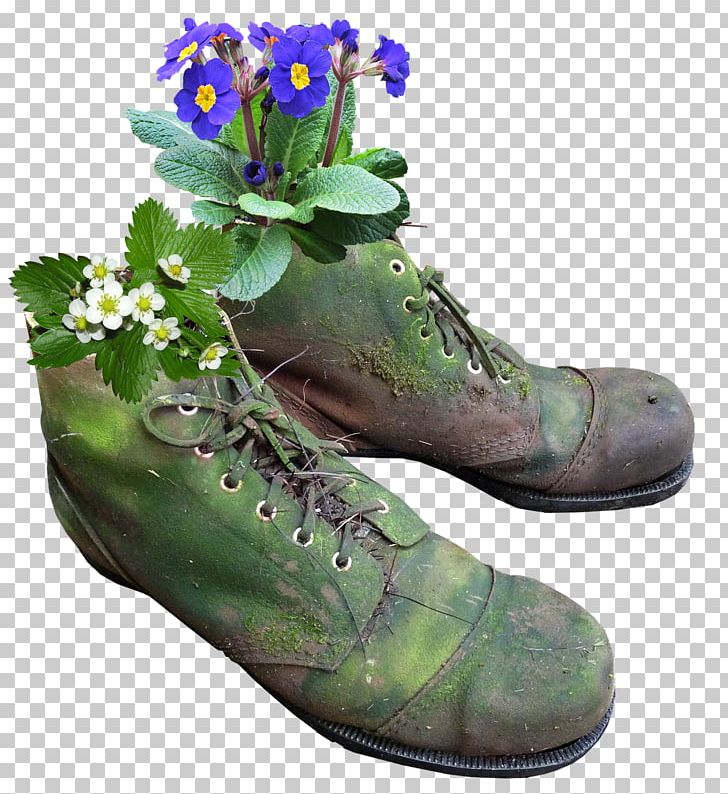 Flowerpot Boot Shoe Plants PNG, Clipart, Blue, Boot, Chrysanthemum, Daisy Family, Flower Free PNG Download