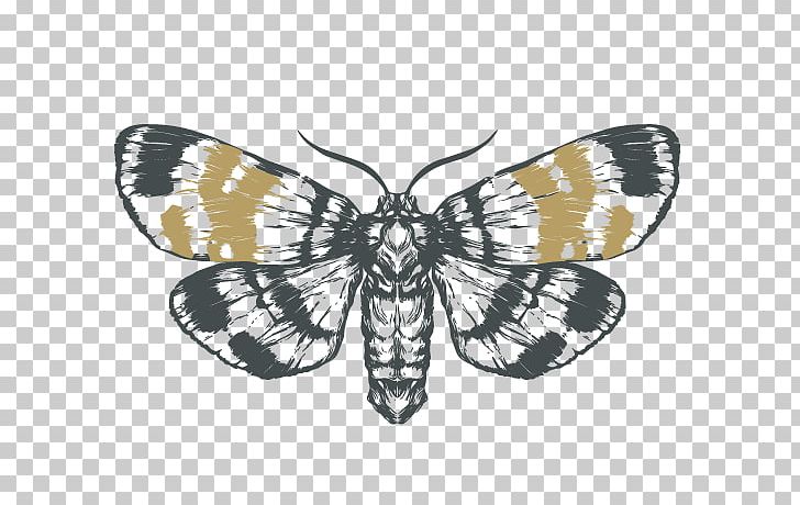 Moth Monarch Butterfly Drawing Sketch PNG, Clipart, Art, Arthropod, Black And White, Brush Footed Butterfly, Butterfly Free PNG Download