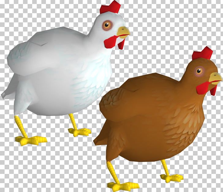 Rooster Goose Cygnini Duck Anatidae PNG, Clipart, Anatidae, Animals, Beak, Bird, Bone Free PNG Download