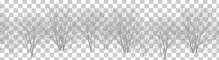 White Black PNG, Clipart, Bifurcation, Black, Black And White, Black Snow, Branch Free PNG Download