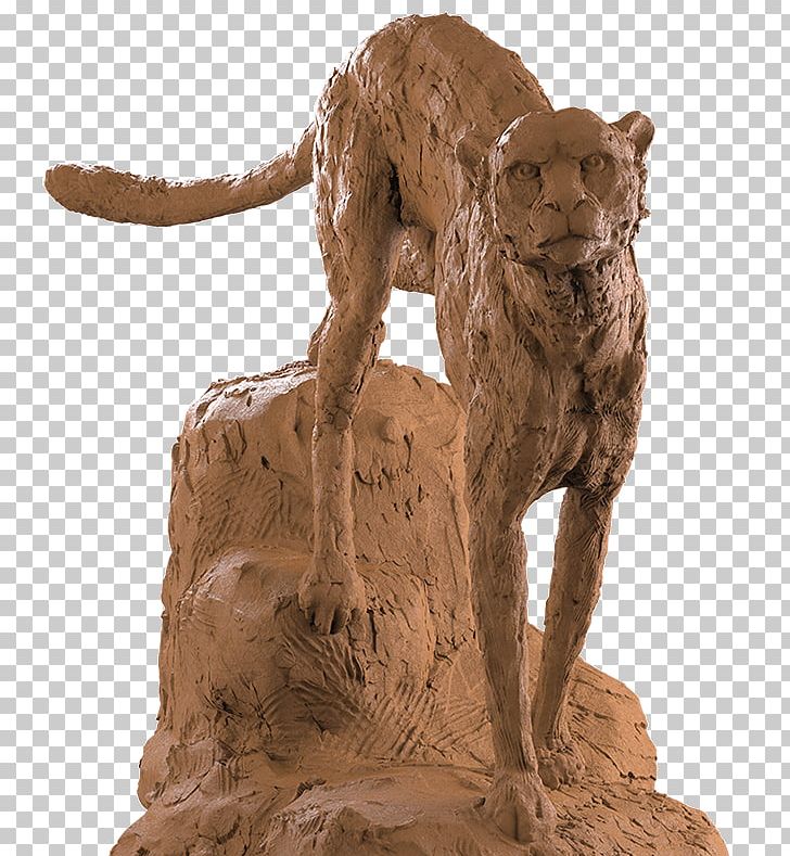 ZBrush Computer Software Rendering Upgrade 3D Modeling PNG, Clipart, 3d Computer Graphics, Animals, Carnivoran, Cat Like Mammal, Computeraided Design Free PNG Download
