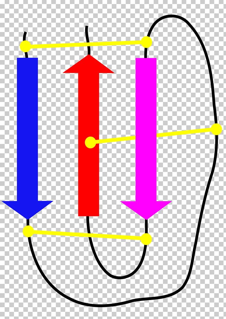 Delta Atracotoxin Protein Angle PNG, Clipart, Angle, Area, Circle, Citation, Invertebrate Free PNG Download