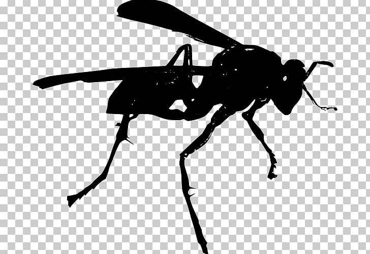 Hornet Bee Wasp PNG, Clipart, Arthropod, Bee, Black And White, Desktop Wallpaper, Fly Free PNG Download