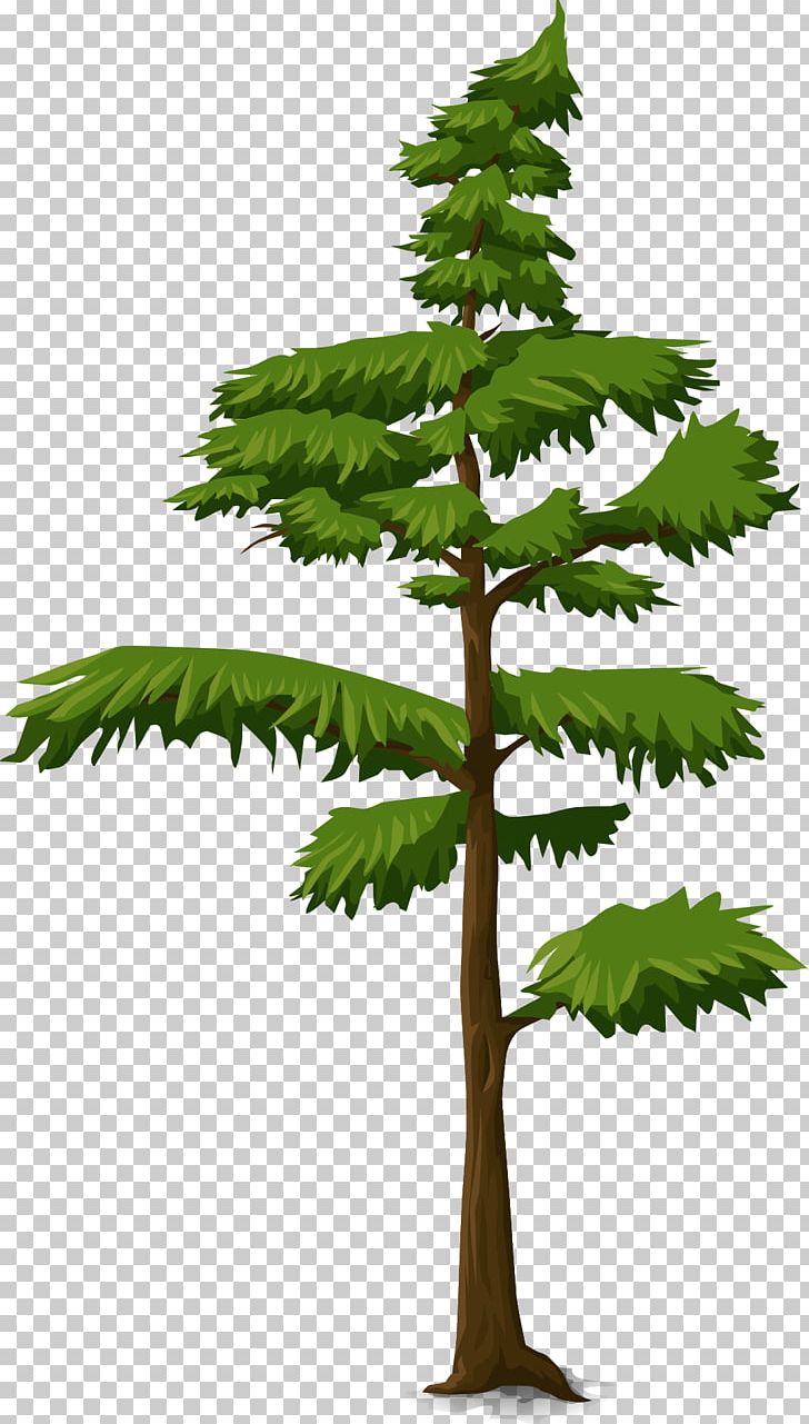 Tree Trunk Three-dimensional Space Fir PNG, Clipart, Branch, Conifer, Encapsulated Postscript, Evergreen, Fir Free PNG Download