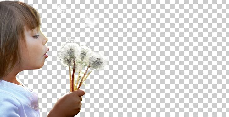 Dandelion Hand Child PNG, Clipart, Child, Children, Childrens Day, Dandelion, Dandelions Free PNG Download