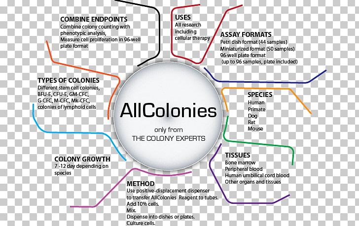 Organization Diagram Line PNG, Clipart, Area, Diagram, Hematopoietic Stem Cells, Line, Organization Free PNG Download