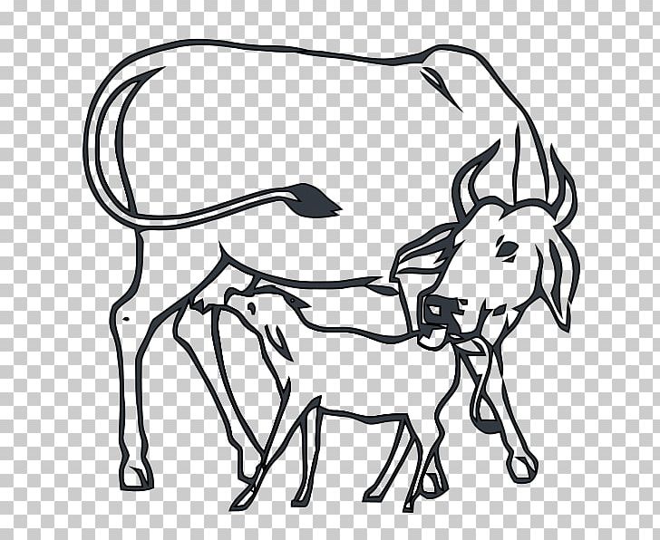 Calf Hereford Cattle Square Meater White Park Cattle Angus Cattle PNG, Clipart, Fictional Character, Head, Horse, Horse Tack, India Free PNG Download