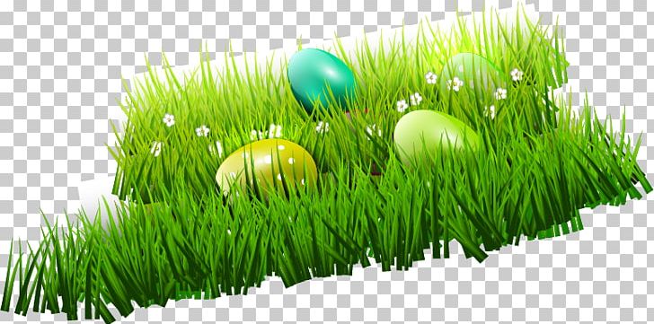 Easter Bunny Easter Egg PNG, Clipart, Computer Wallpaper, Easter Egg, Easter Eggs, Easter Vector, Encapsulated Postscript Free PNG Download