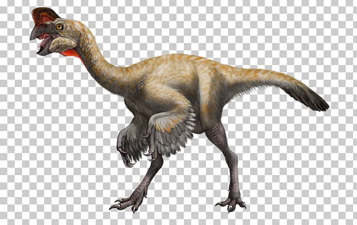 Velociraptor Struthiomimus Oviraptor Styracosaurus Muttaburrasaurus PNG, Clipart, Arroword, Beak, Cretaceous, Crossword, Dinosaur Free PNG Download