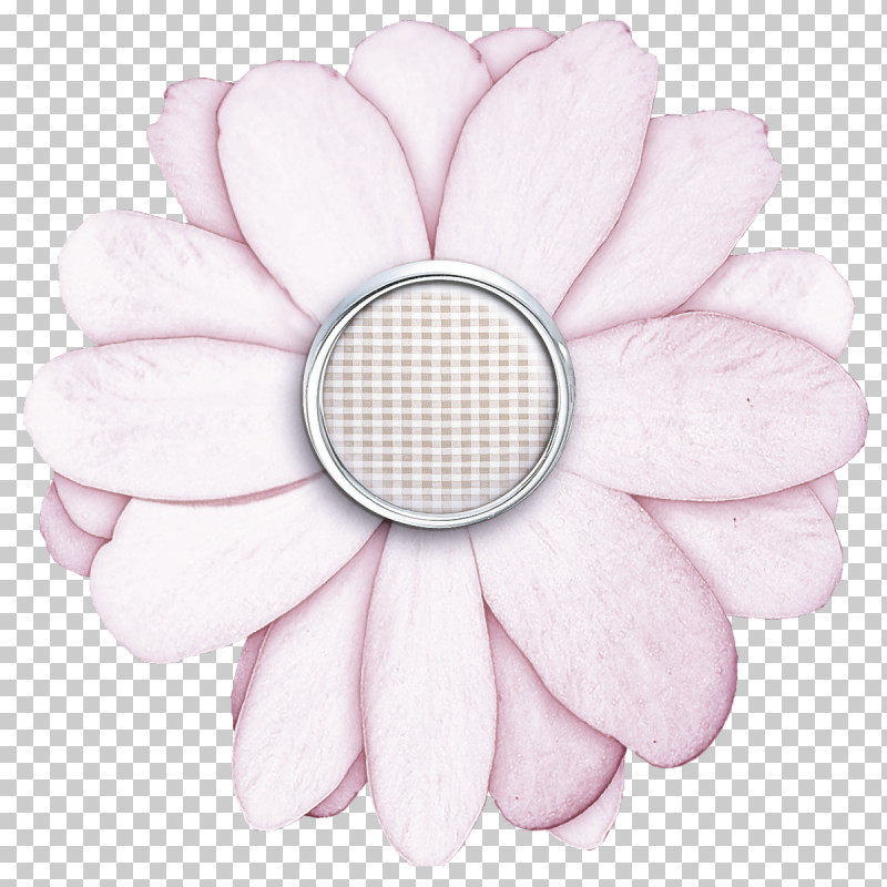 Petal White Pink Flower Plant PNG, Clipart, Flower, Gerbera, Magnolia, Petal, Pink Free PNG Download