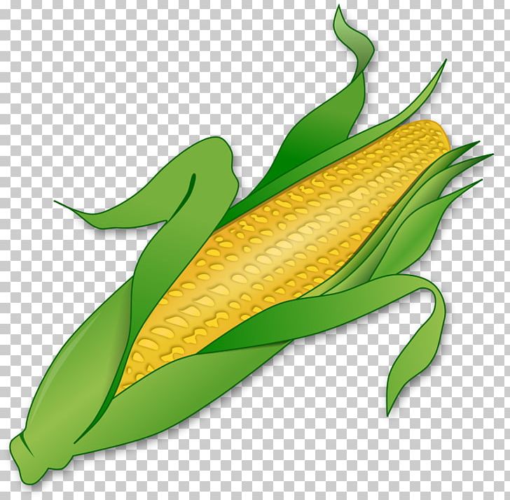 Corn On The Cob Maize Sweet Corn PNG, Clipart, Commodity, Corncob, Corn On The Cob, Download, Food Free PNG Download