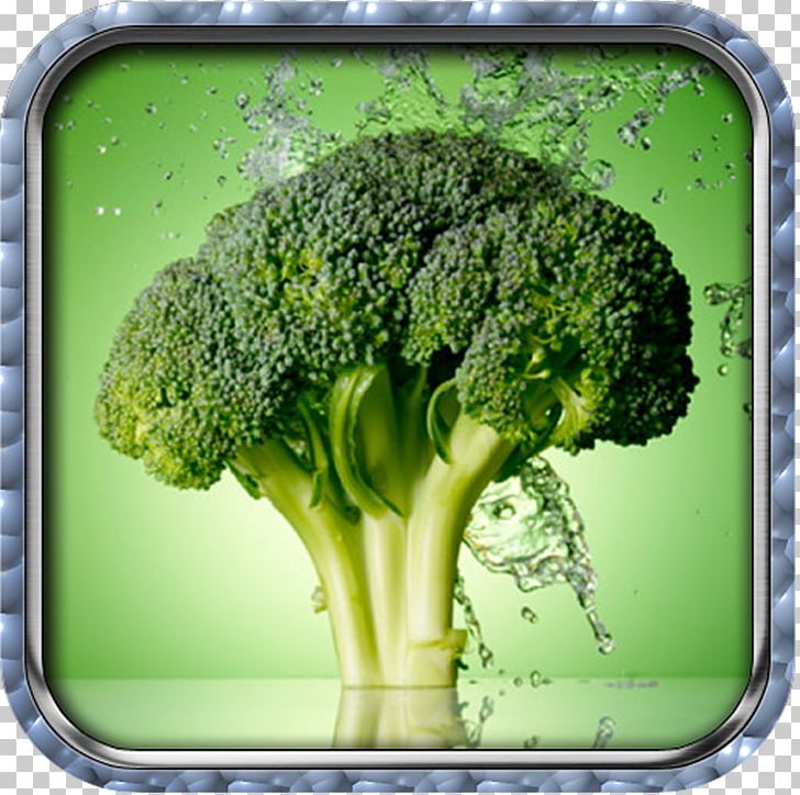 Broccoli Cancer Cruciferous Vegetables Superfood PNG, Clipart, Broccoli, Cancer, Cauliflower, Cruciferous Vegetables, Disease Free PNG Download