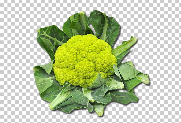 Broccoli Cauliflower Vegetarian Cuisine Collard Greens Spring Greens PNG, Clipart, Broccoflower, Broccoli, Cauliflower, Collard Greens, Cruciferous Vegetables Free PNG Download
