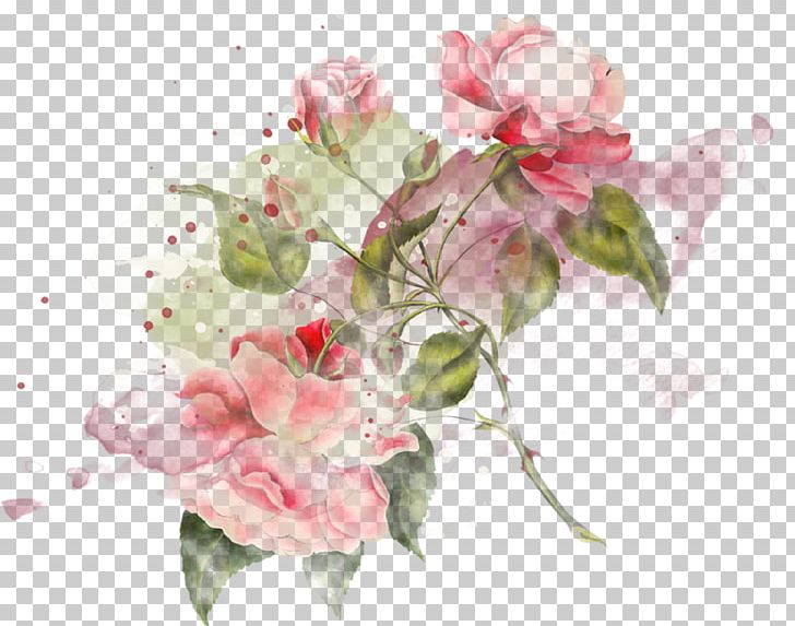 Centifolia Roses Garden Roses Flower Still Life Photography PNG, Clipart, Artificial Flower, Azalea, Branch, Flower, Flower Arranging Free PNG Download