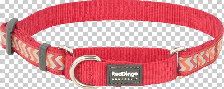 Dog Collar Dingo Martingale PNG, Clipart, Animals, Belt Buckle, Belt Buckles, Collar, Dingo Free PNG Download