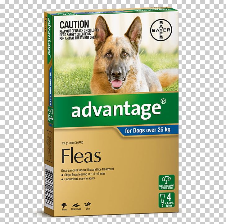 Dog Flea Treatments Puppy Pet Veterinarian PNG, Clipart, Advantage, Animals, Biting, Collar, Dog Free PNG Download