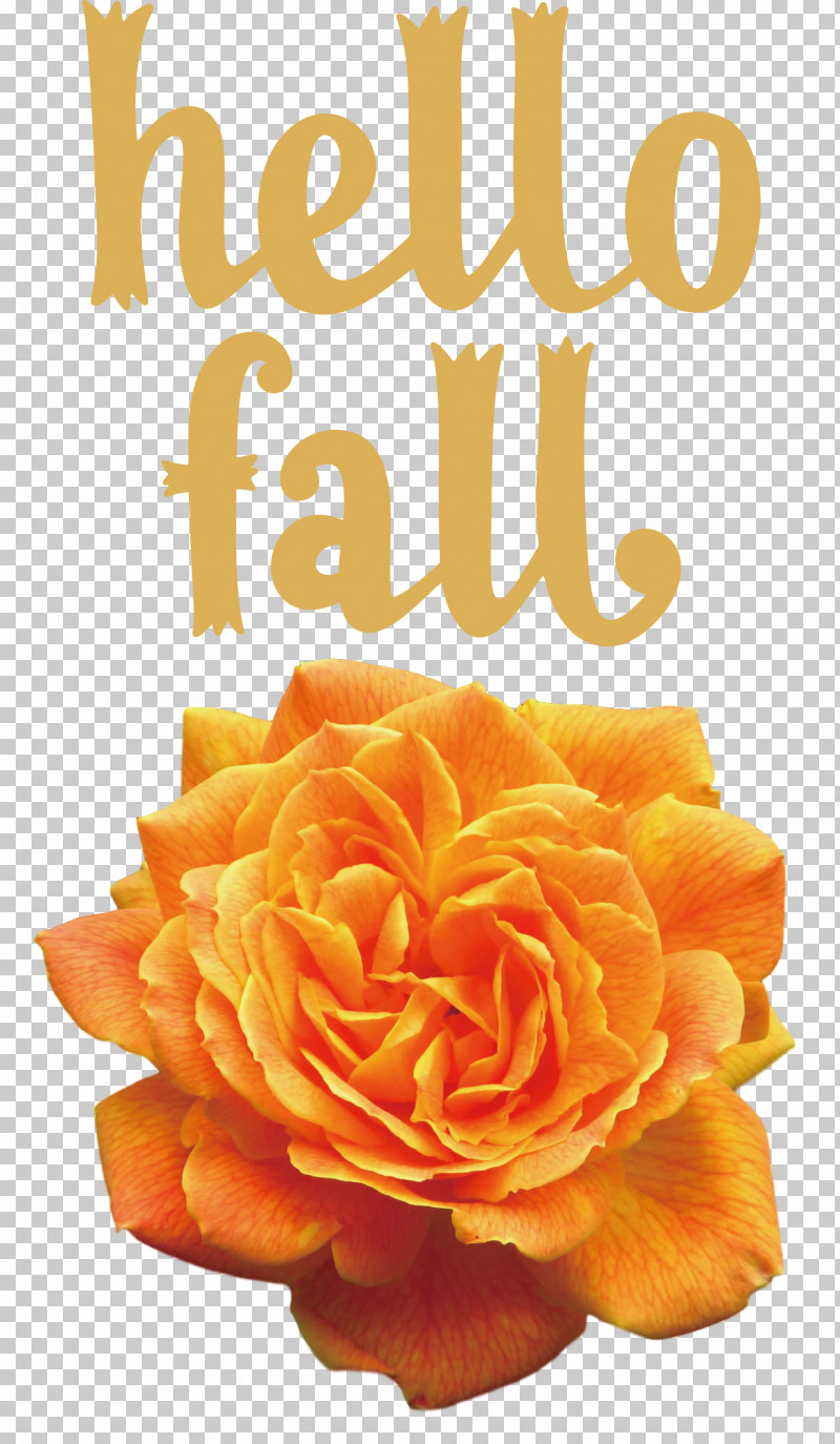 Hello Fall Fall Autumn PNG, Clipart, Autumn, Cut Flowers, Fall, Floral Design, Flower Free PNG Download