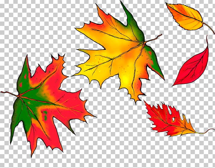 Autumn Leaves Maple Leaf PNG, Clipart, Autumn Leaf Color, Autumn Leaves Material, Deciduous, Fall Leaves, Happy Birthday Vector Images Free PNG Download
