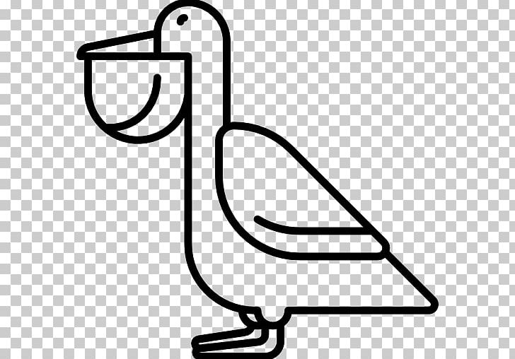 Beak PNG, Clipart, Area, Art, Beak, Black And White, Line Free PNG Download