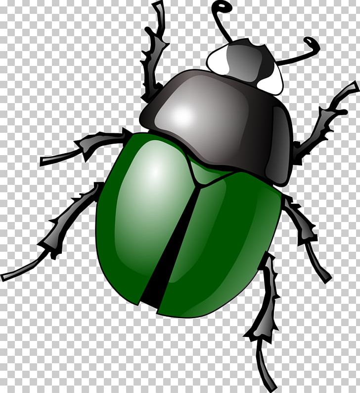Beetle PNG, Clipart, Animals, Apk, Arthropod, Artwork, Beetle Free PNG Download