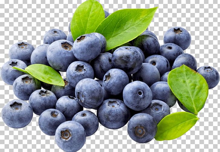 Blueberry Organic Food Bilberry PNG, Clipart, Aristotelia Chilensis, Banggood, Berry, Bilberry, Blueberry Free PNG Download