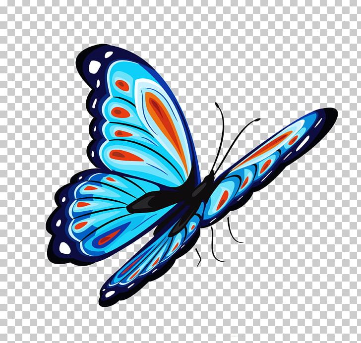 Butterfly T-shirt PNG, Clipart, Arthropod, Blue, Blue And Red, Brush Footed Butterfly, Butterflies Free PNG Download