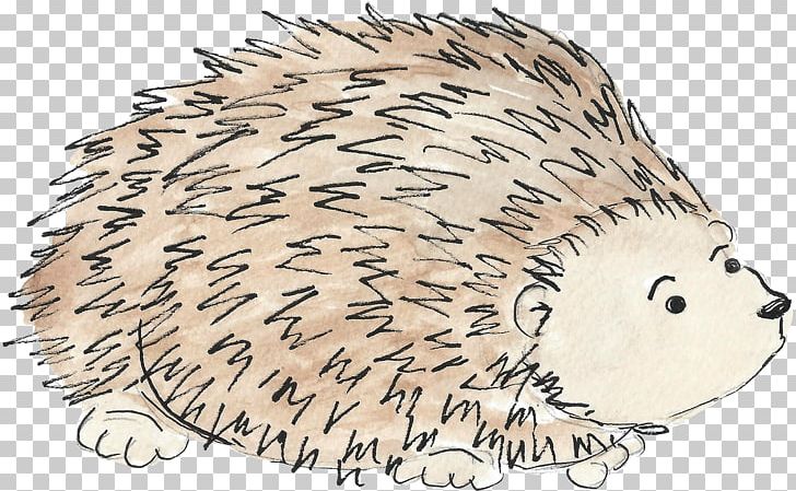 Domesticated Hedgehog Beaver Porcupine Whiskers PNG, Clipart, Animal, Animal Figure, Bear, Beaver, Carnivoran Free PNG Download