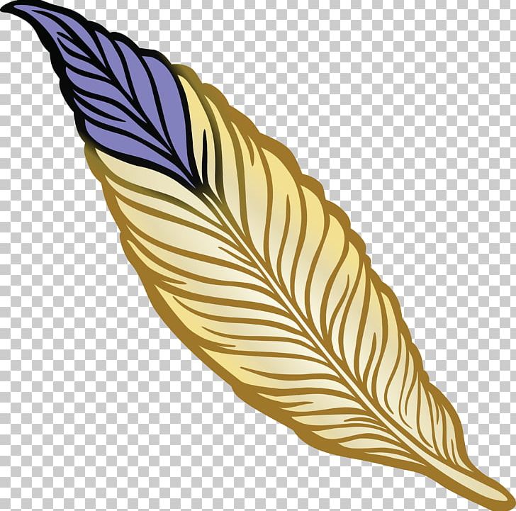 Feather Drawing Bird PNG, Clipart, Animals, Bird, Color, Computer Icons, Desktop Wallpaper Free PNG Download