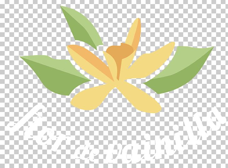 Flower Leaf Petal Desktop PNG, Clipart, Computer, Computer Wallpaper, Desktop Wallpaper, Flora, Flower Free PNG Download