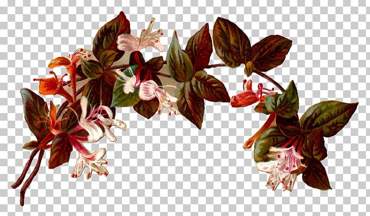 Flower Vintage Clothing Rose PNG, Clipart, Antique, Clip Art, Cut Flowers, Digital Image, Flora Free PNG Download