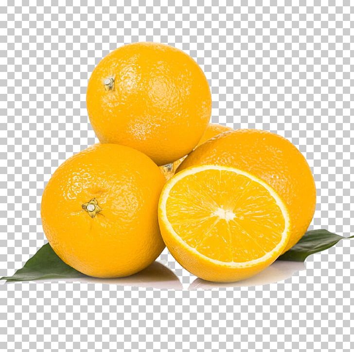 Sangria Orange Clementine Tangerine Fruit PNG, Clipart, Autumn, Autumn Fruits, Bitter Orange, Citric Acid, Citrus Free PNG Download