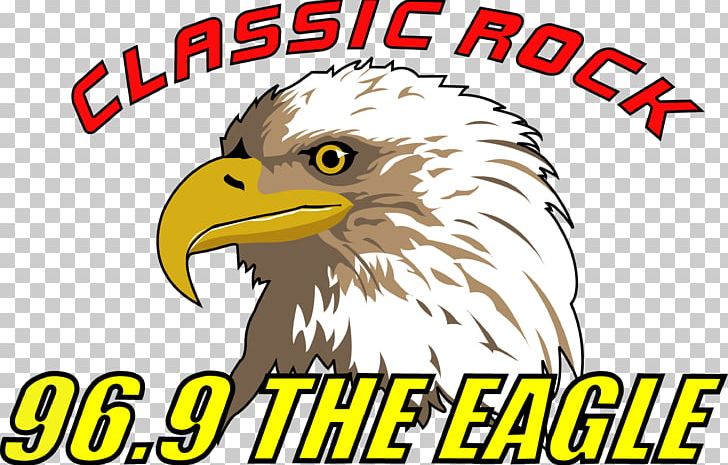 Bald Eagle KKGL Boise City-Nampa PNG, Clipart, Bald Eagle, Beak, Bird, Bird Of Prey, Brand Free PNG Download