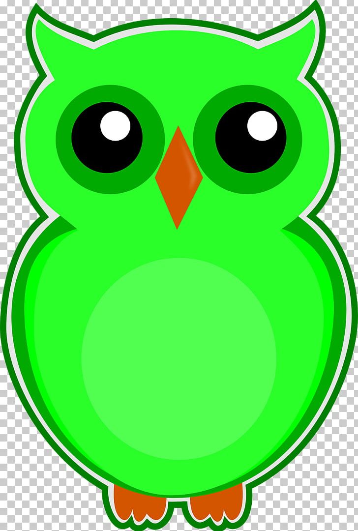 Eksen Dershaneleri Owl PNG, Clipart, Amphibian, Animals, Artwork, Beak, Bird Free PNG Download