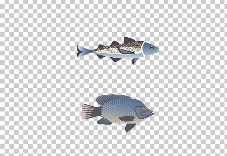 Fish ISO 216 PNG, Clipart, Animals, Aquarium Fish, Copyright, Download, Elements Free PNG Download