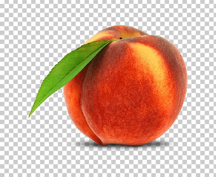 Fruit Apple Princess Peach Nectarine PNG, Clipart, Apple, File, Food, Fruit, Fruit Nut Free PNG Download