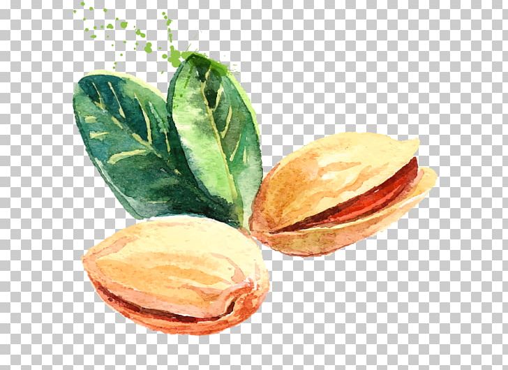 Pistachio Watercolor Painting Drawing PNG, Clipart, Art, Drawing, Food, Fruit, Hand Drawn Free PNG Download