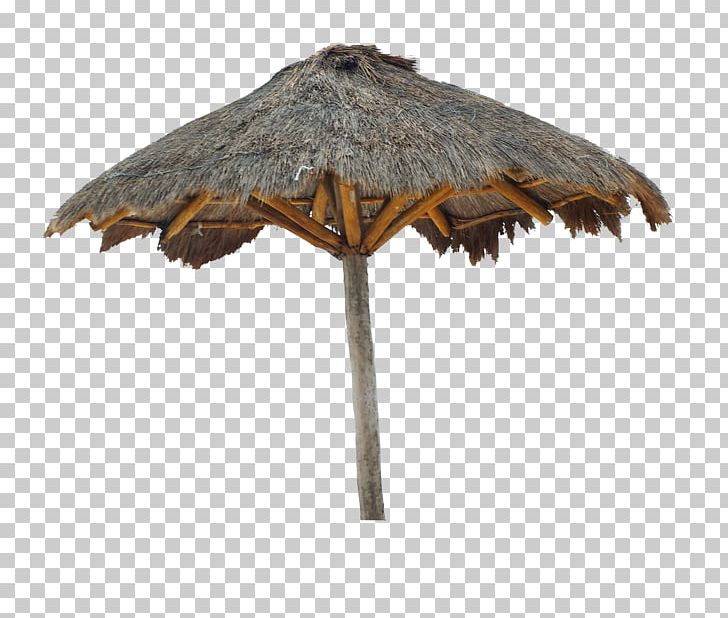 Wood /m/083vt PNG, Clipart, Beach Umbrella, M083vt, Nature, Wood Free PNG Download