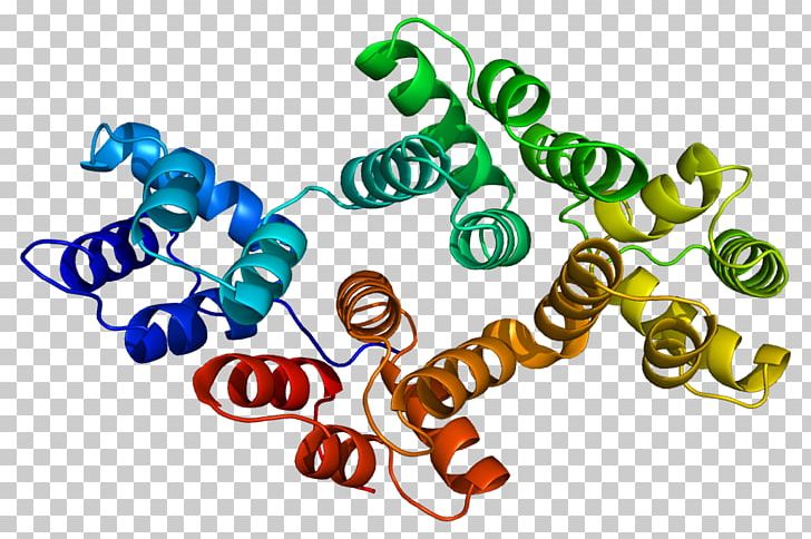 Annexin A4 Protein Gene Cell PNG, Clipart, Annexin A5, Area, Cell, Chromosome, Dna Free PNG Download