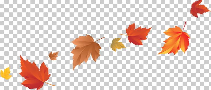 Autumn Leaf Color PNG, Clipart, Autumn, Autumn Leaf Color, Color, Computer Icons, Computer Wallpaper Free PNG Download