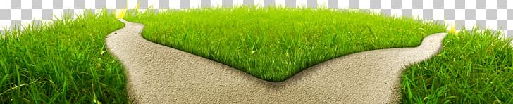 Lawn Meadow Wheatgrass Green Field PNG, Clipart, City, Civilization, Commodity, Country, Crop Free PNG Download